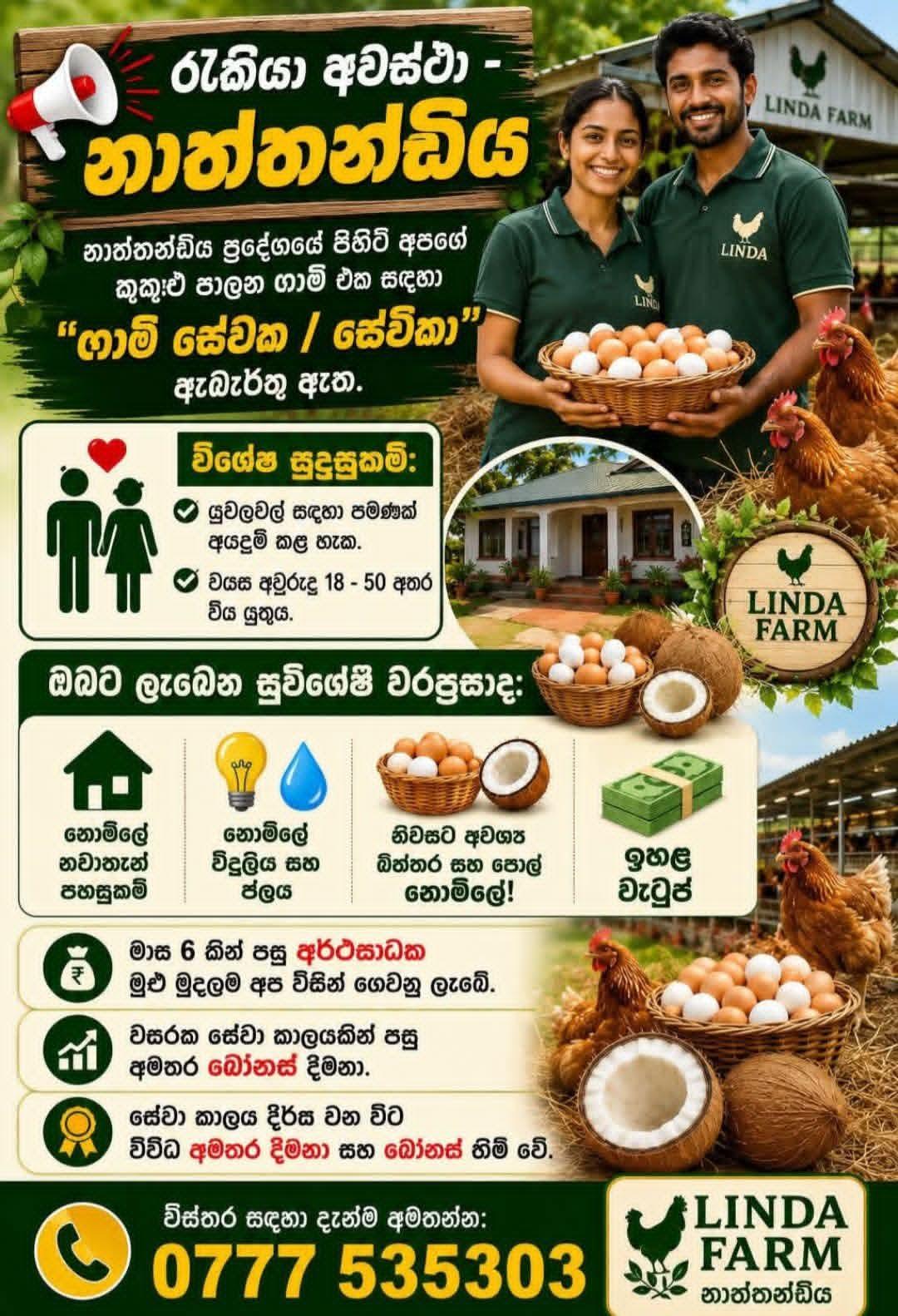 Farm Helper — flyer