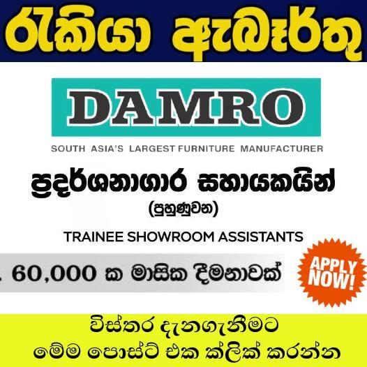 Trainee Showroom Assistants — flyer