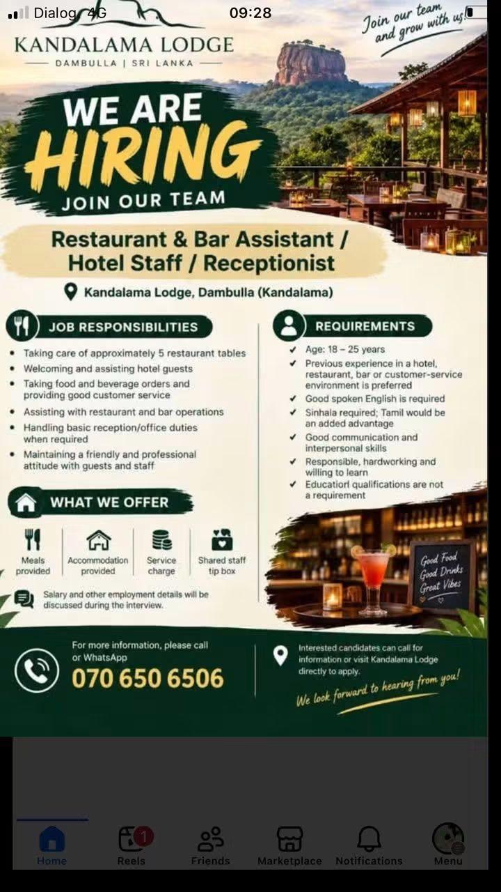 Restaurant & Bar Assistant / Hotel staff / Receptionist  — flyer