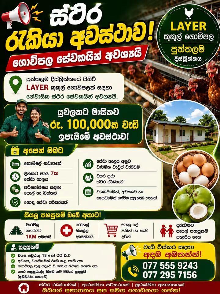 Farm helper  — flyer