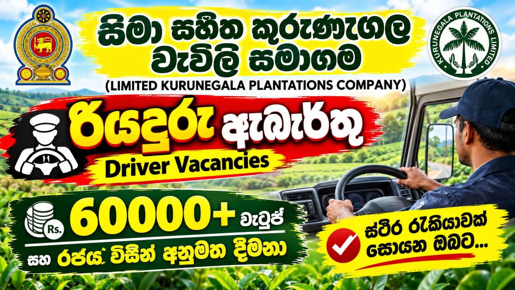 Driver  — flyer